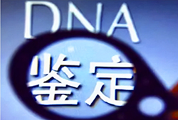 东营孕期亲子鉴定准确可靠吗，东营怀孕亲子鉴定机构到哪里